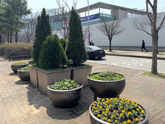 250412-1 꽃길 조성.jpg