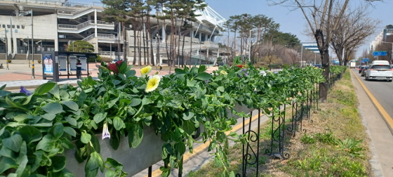 250412-1 꽃길 조성2.jpg